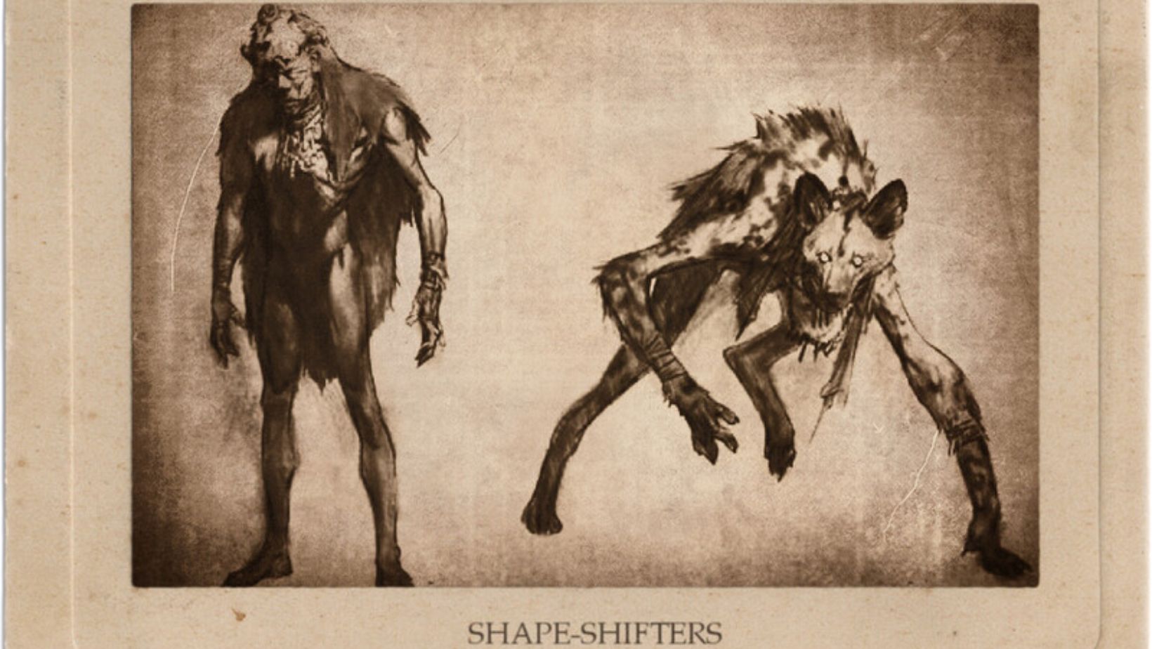 What is a Shapeshifter? 